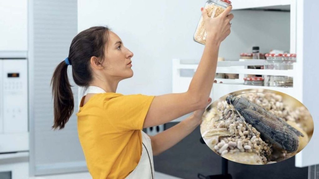 Žena v kuchyni kontroluje sklenené nádoby s potravinami a bojuje s potravinovými molami.