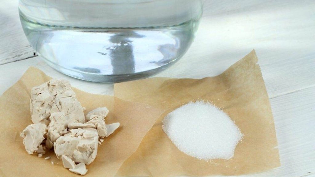 Kvasnice a cukor v pohári vody. Vhodné na hnojenie rastlín. Ekologický prírodný spôsob, ako hnojiť rastliny a kvety v interiéri.