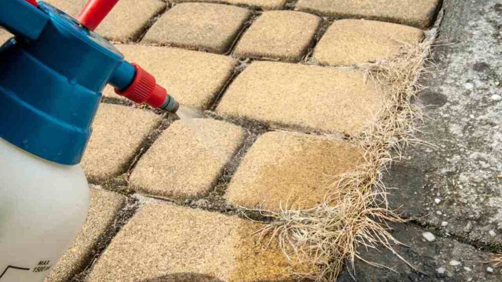 Postrekovačom sa aplikuje roztok sódy bikarbóny na mach medzi dlažobnými kameňmi.