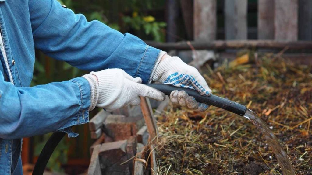 Záhradkár polieva kompost vodou, aby udržal správnu vlhkosť.