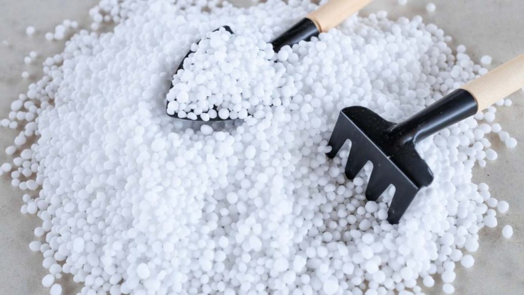 Granule močoviny v ruke pripravené na rozmiešanie vo vode.