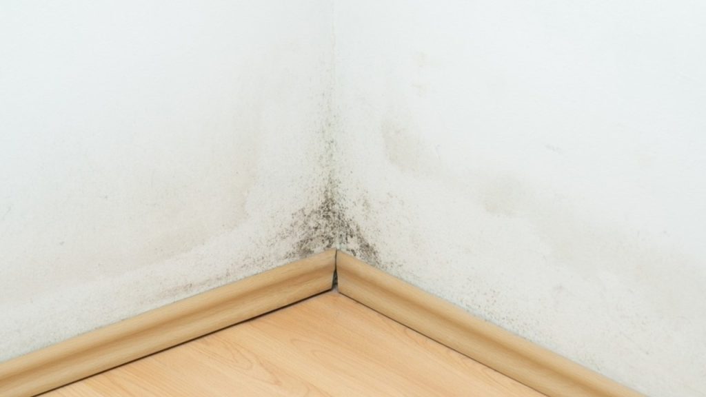 Pleseň v rohu miestnosti spôsobená starým alebo poškodeným náterom