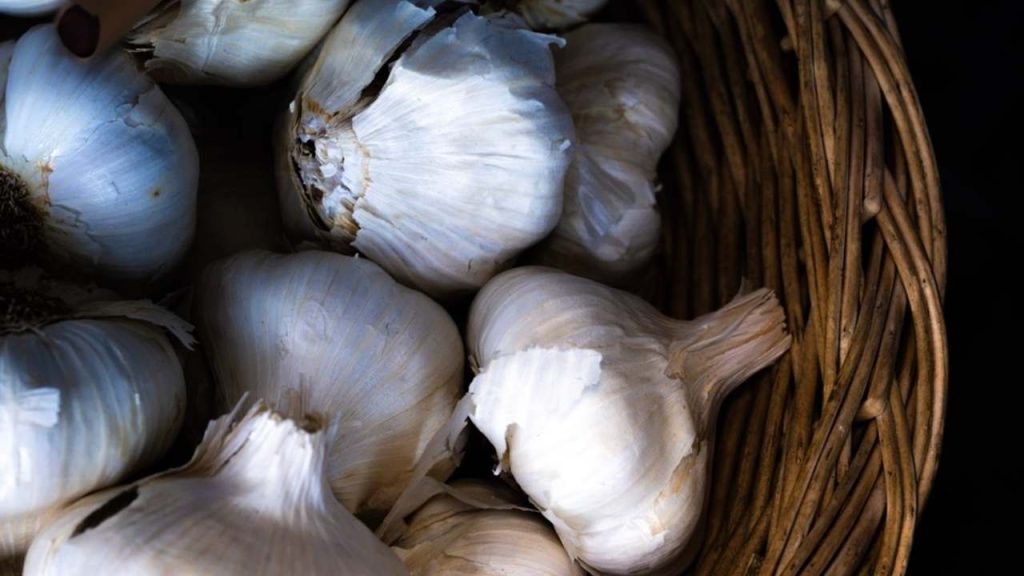 Cesnak uložený v priedušnom košíku