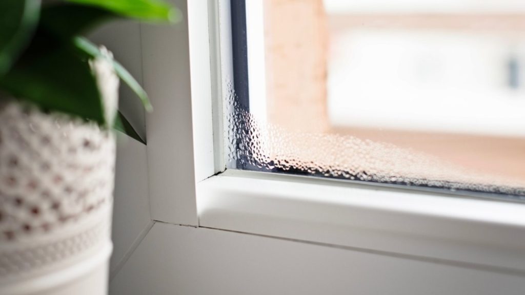 Zahmlené okná v zime ako znak vysokej vlhkosti v byte