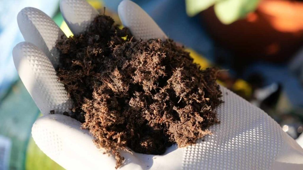 Kompost ako prírodné obohatenie pôdy z krtinca v záhrade
