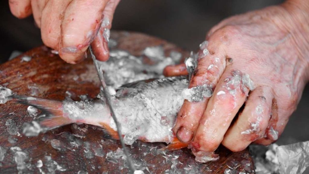 Čistenie kapra a odstraňovanie šupín pred ďalšou kuchynskou úpravou