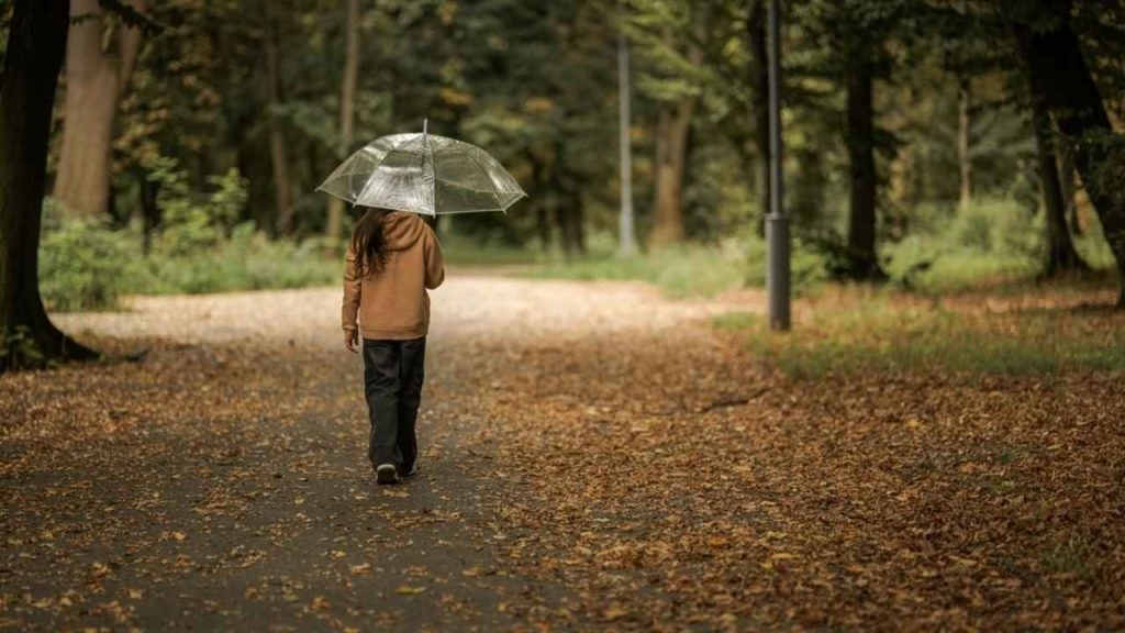 Človek kráča osamote parkom počas tichej, premýšľavej prechádzky.