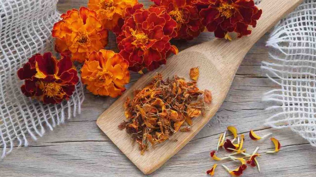 Sušené kvety aksamietnice – základ imeretského šafranu z Gruzínska