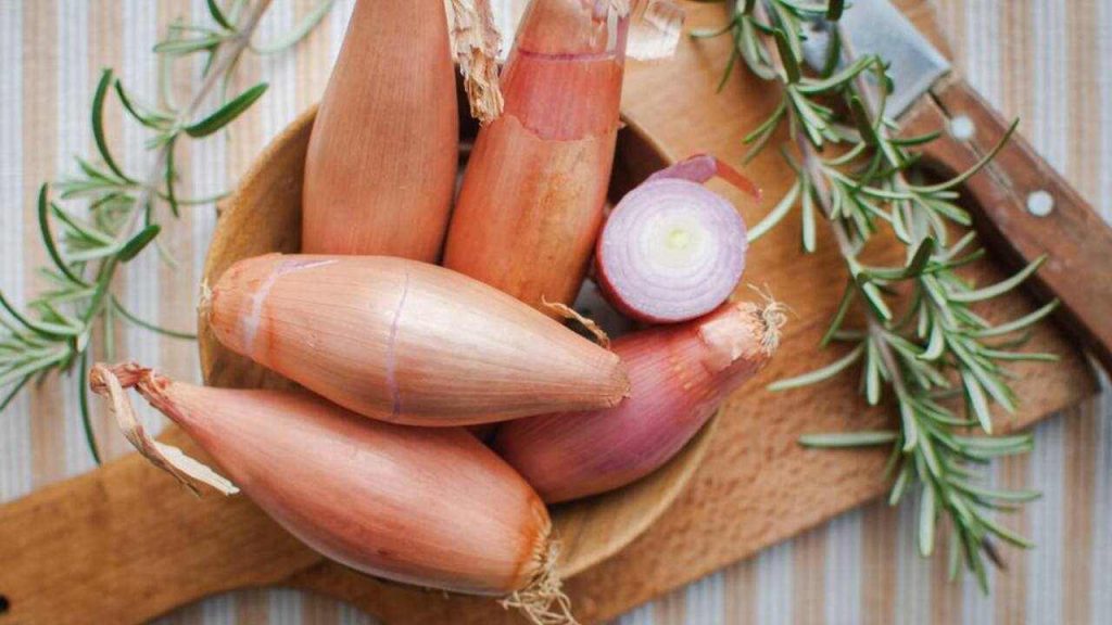 Čerstvé cibule šalotky uložené v drevenej miske na kuchynskej doske, vedľa nich rozmarín
