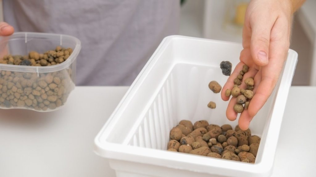 Drenážna vrstva z keramzitu na dne črepníka pri presádzaní izbových rastlín