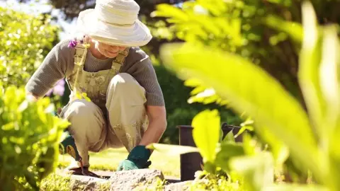 Záhradkárka v klobúku pracuje medzi zeleňou v letnej záhrade