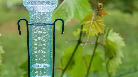 Zrážkomer v záhrade počas dažďa, meranie množstva zrážok pre správne zavlažovanie