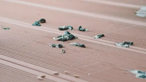 Vtáčí trus na podlahe balkóna pred čistením