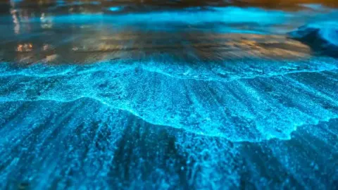 Bioluminiscencia na Maldivách – more na ostrove Vaadhoo žiari modrým svetlom v noci a pripomína hviezdnu oblohu.