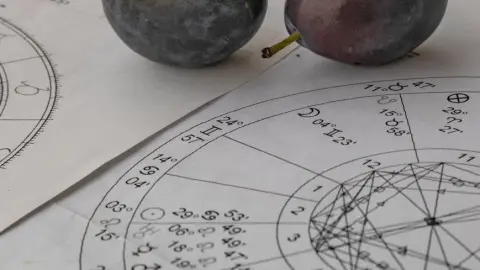 Astrologický horoskop s kruhom znamení a slivkami položenými na papieri