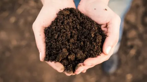 Hrsť tmavej úrodnej pôdy bohatej na humus v dlaniach