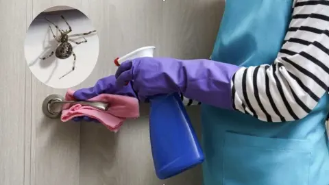 Žena s rukavicami postrekuje vchodové dvere, aby zabránila pavúkom vstúpiť do domu