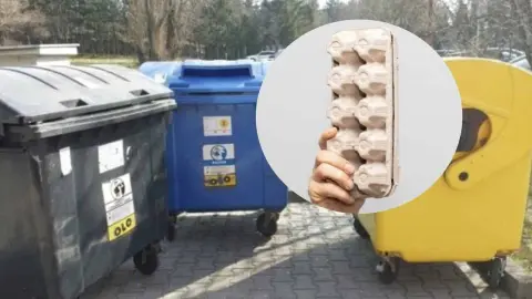 Ruka drží kartónový obal od vajec pred kontajnermi na triedený odpad – modrým, žltým a čiernym.