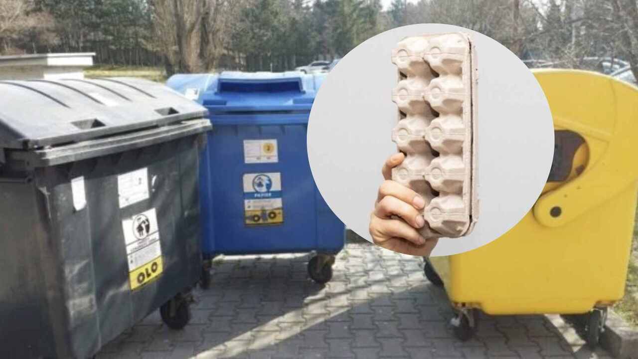 Ruka drží kartónový obal od vajec pred kontajnermi na triedený odpad – modrým, žltým a čiernym.