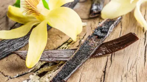 Lusk pravej vanilky rozrezaný na polovicu s viditeľnými čiernymi semienkami, položený na drevenom povrchu vedľa žltého kvetu orchidey.