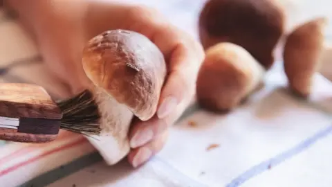 Čistenie čerstvých húb jemným štetcom na kuchynskej utierke