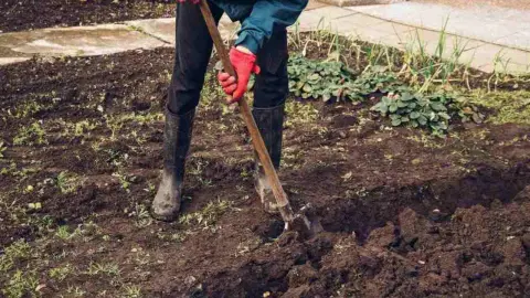 Záhradník ryľuje pôdu na jeseň, pripravuje záhon na ďalšiu sezónu.