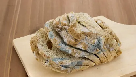 Plesnivý krajec chleba položený na kuchynskej doske