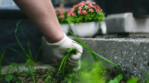 Ruka odstraňuje burinu medzi kameňmi okolo hrobu