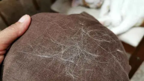 Detail tmavého kabáta pokrytého chlpmi od psa alebo mačky.