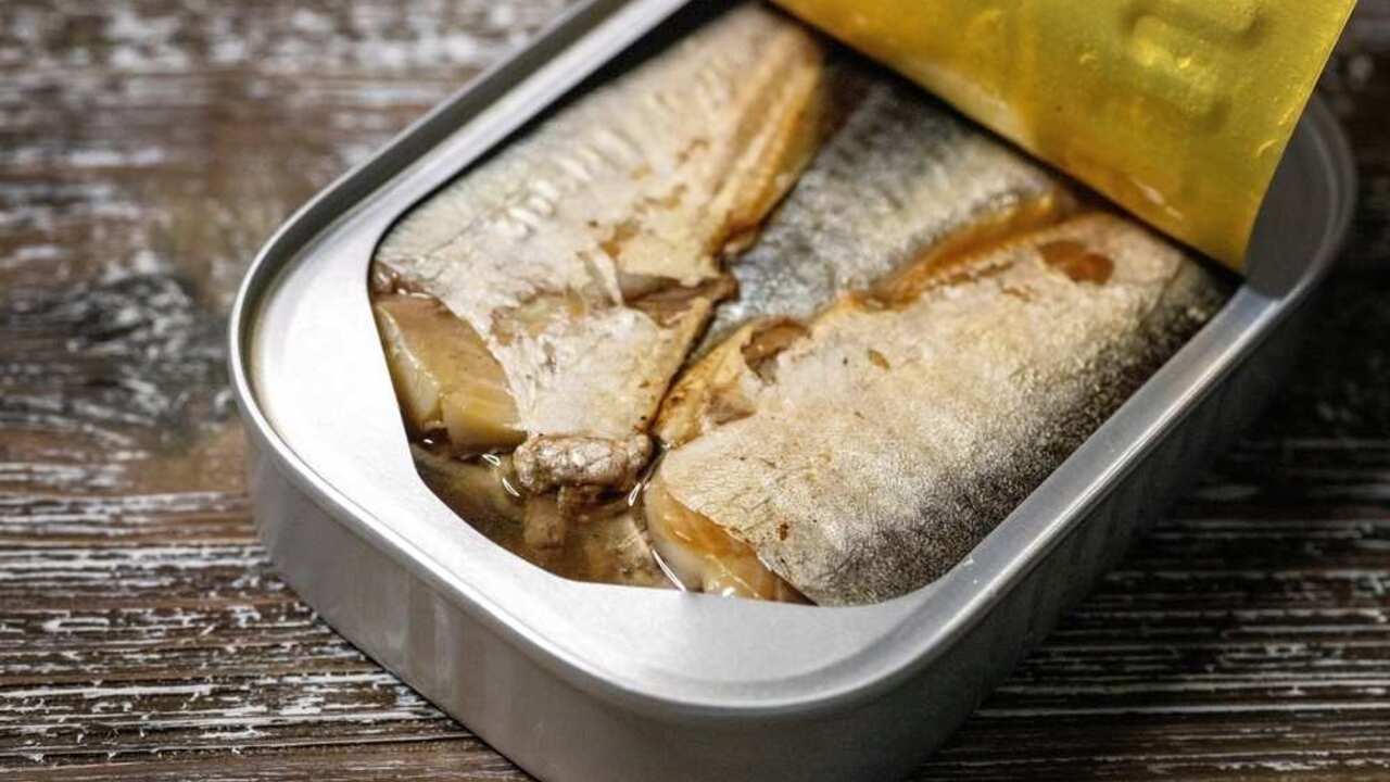 Otvorená konzerva sardiniek v oleji – zdroj omega-3 mastných kyselín a bielkovín.