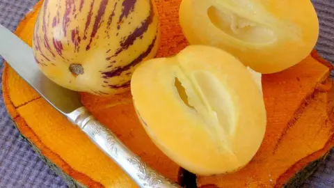 Prekrojený melón pepino s fialovými pásikmi na žltej šupke