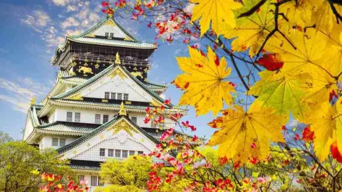 Historický hrad Ósaka obklopený jesennými listami, symbol japonského mesta, ktoré si získalo srdcia turistov z celého sveta.