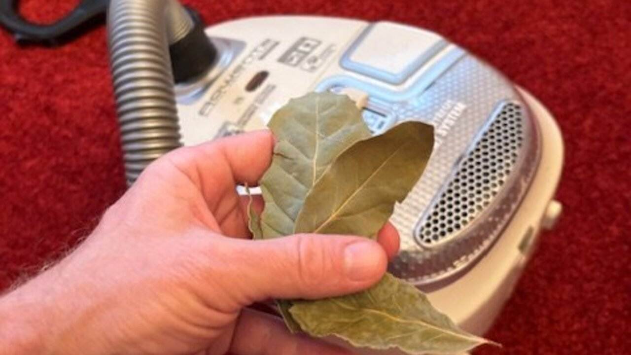 Ruka držiaca sušené bobkové listy pri vysávači, pripravené na použitie ako domáci trik na prevoňanie domácnosti.