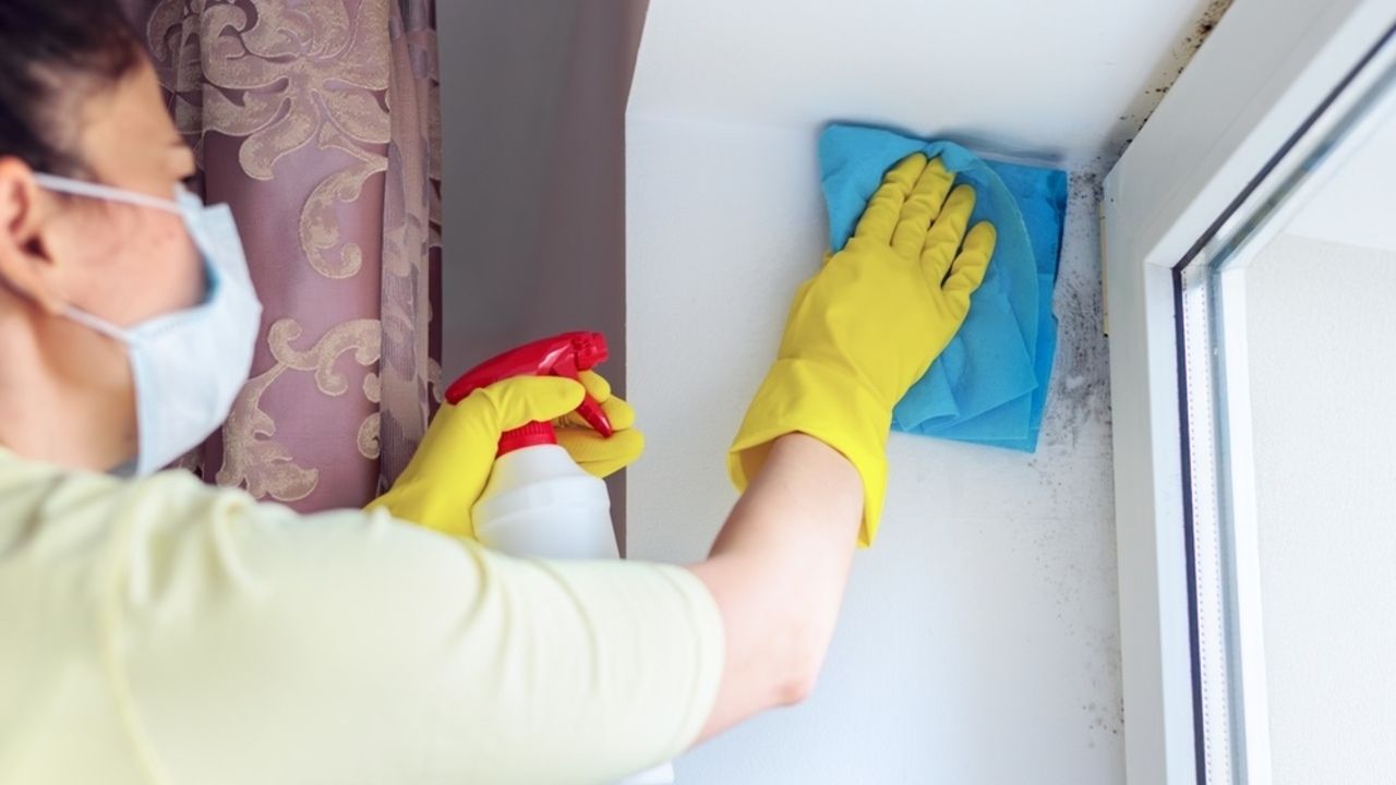 Žena odstraňuje pleseň zo steny pomocou handričky a roztoku z lekárne.
