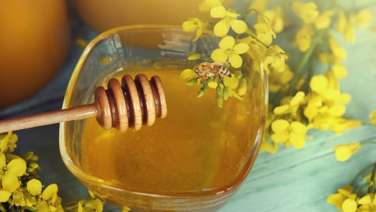 Repkový med v miske obklopenej žltými kvetmi repky, vhodný pre seniorov vďaka svojim účinkom na cholesterol a cievy.