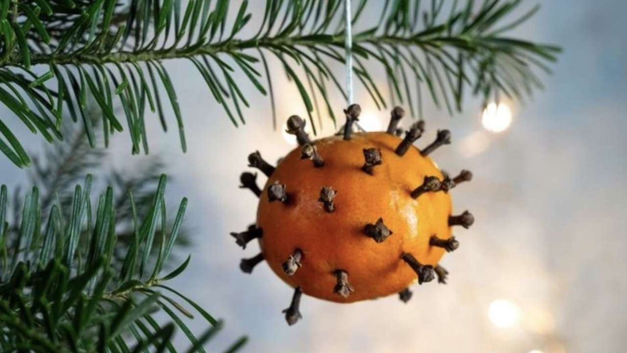 Pomaranč s klinčekmi zavesený na vianočnej vetvičke ako prírodná ozdoba.