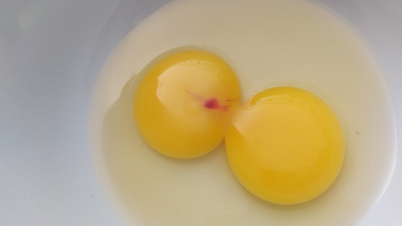 Rozbité vajce s malou červenou škvrnou na žĺtku