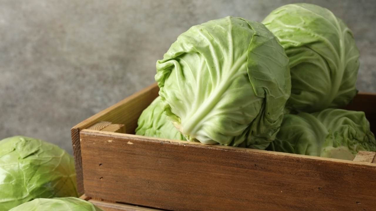 Pevné hlávky kapusty uložené v drevenej debničke pripravené na zimné skladovanie