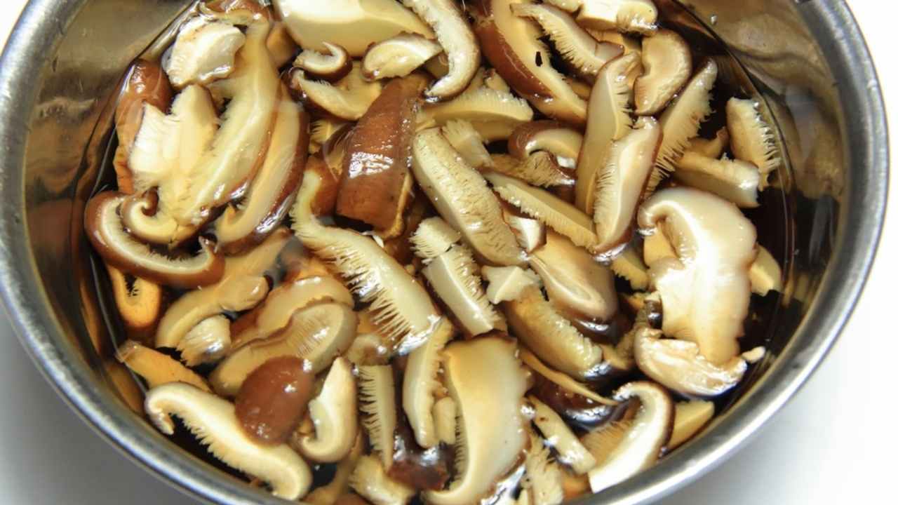 Sušené huby namáčané vo vode pred ďalšou prípravou