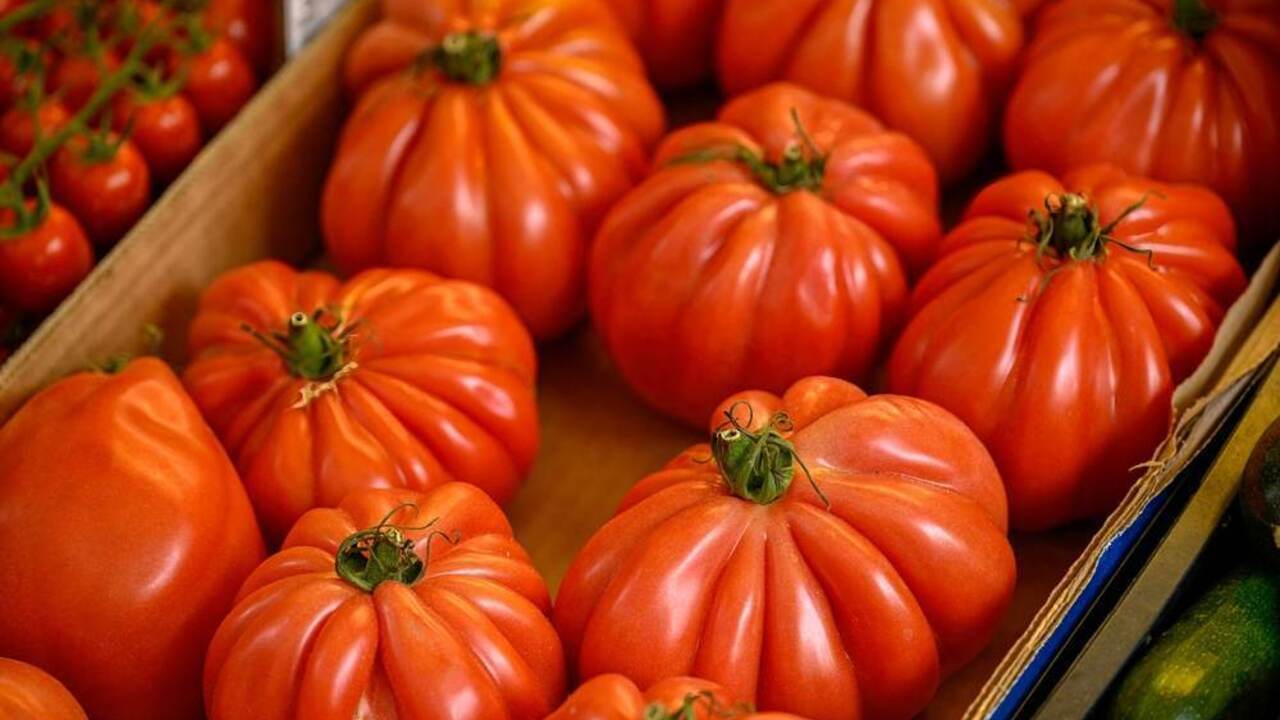 Veľké zrelé paradajky odrody býčie srdce uložené v debničke