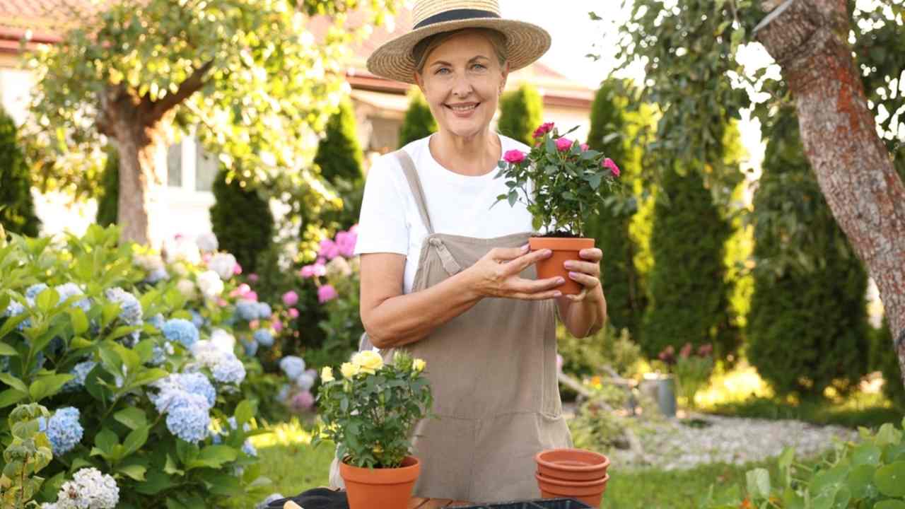 Žena sa stará o kvety v zelenej záhrade plnej farebných rastlín.