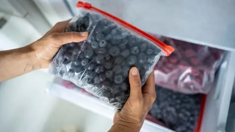 Žena drží v rukách vrecúško na zips s čučoriedkami a vkladá ho do mrazničky. Cenovo výhodné skladovanie potravín, konzervovanie letného ovocia na zimu, vitamíny na chladné obdobie, rýchle zmrazenie, výživové výhody
