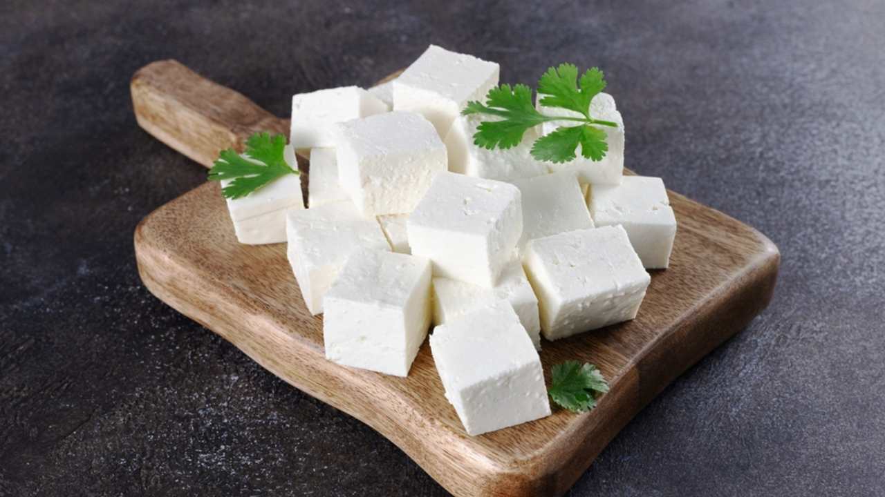 Kocky indického syra paneer na drevenej doske na sivom pozadí. Indické jedlo.