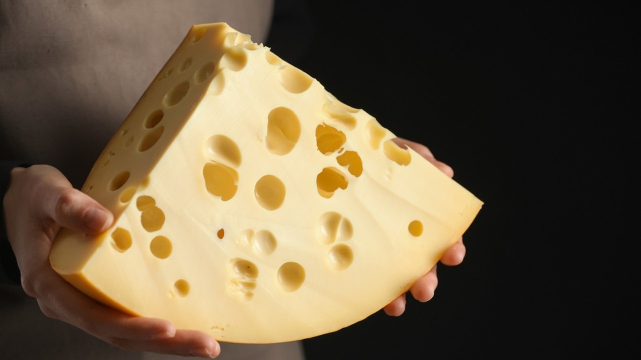 Žena s kúskom lahodného syra na čiernom pozadí, detailný záber