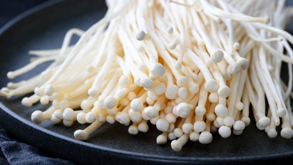 Huby enoki na čiernom tanieri. Ázijská kuchyňa. Tmavé pozadie.