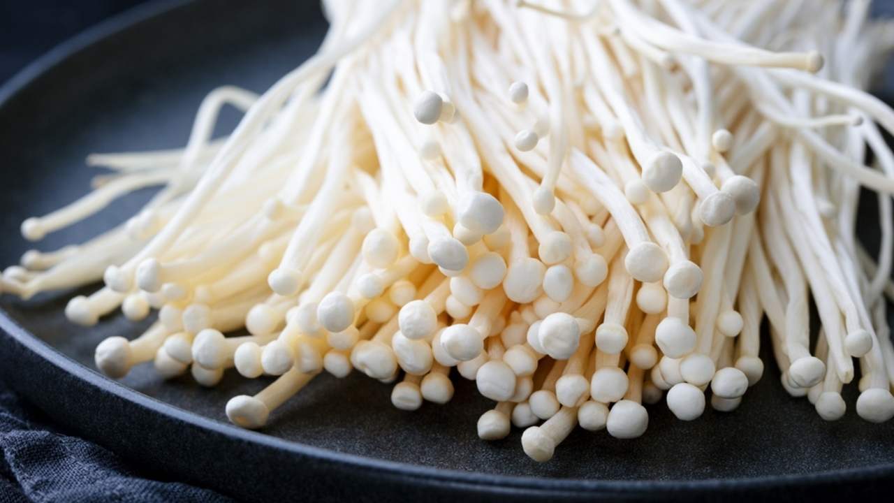 Huby enoki na čiernom tanieri. Ázijská kuchyňa. Tmavé pozadie.